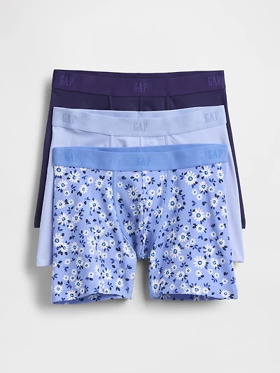 5" Boxer Briefs (3-Pack