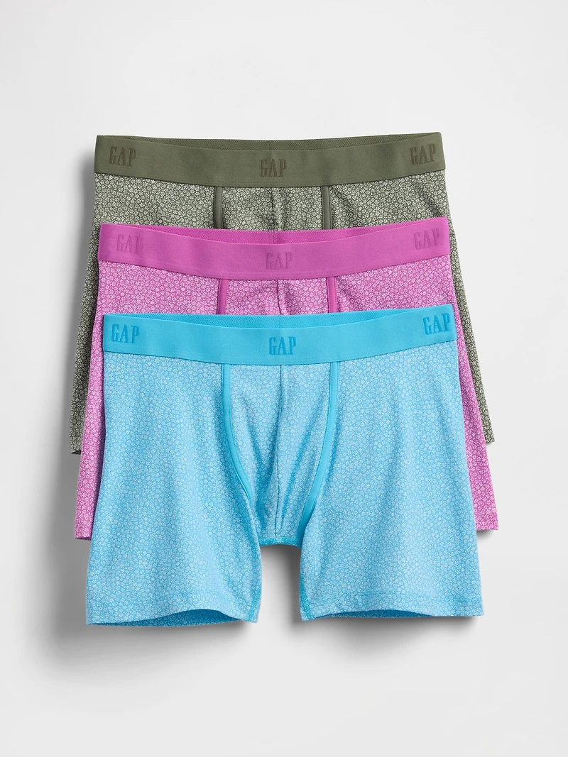 5" Boxer Briefs (3-Pack