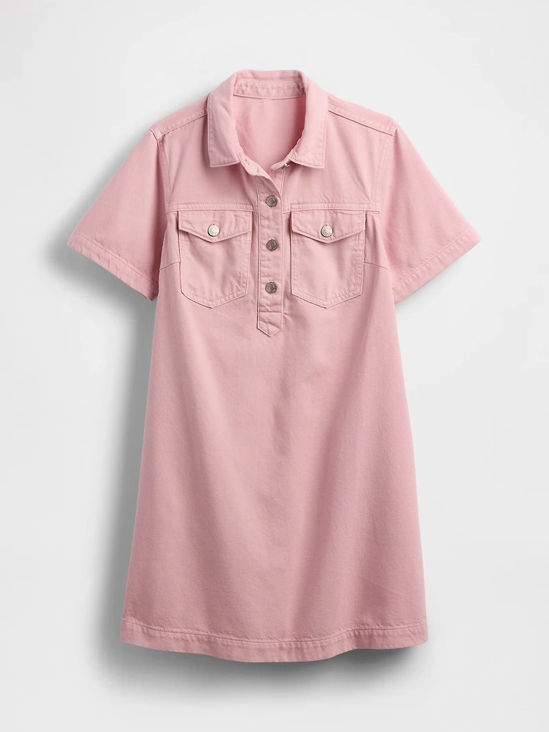 UltraSoft Denim Stripe Popover Mini Dress