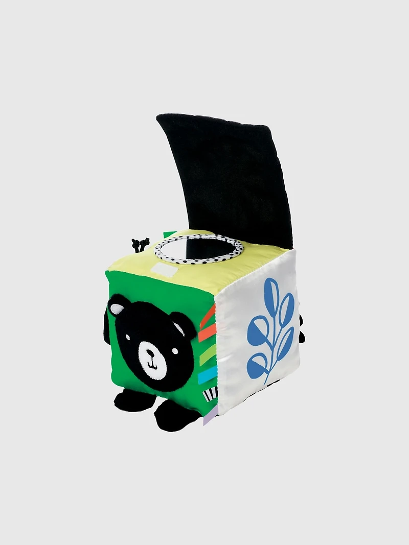 Wimmer Discovery Cube