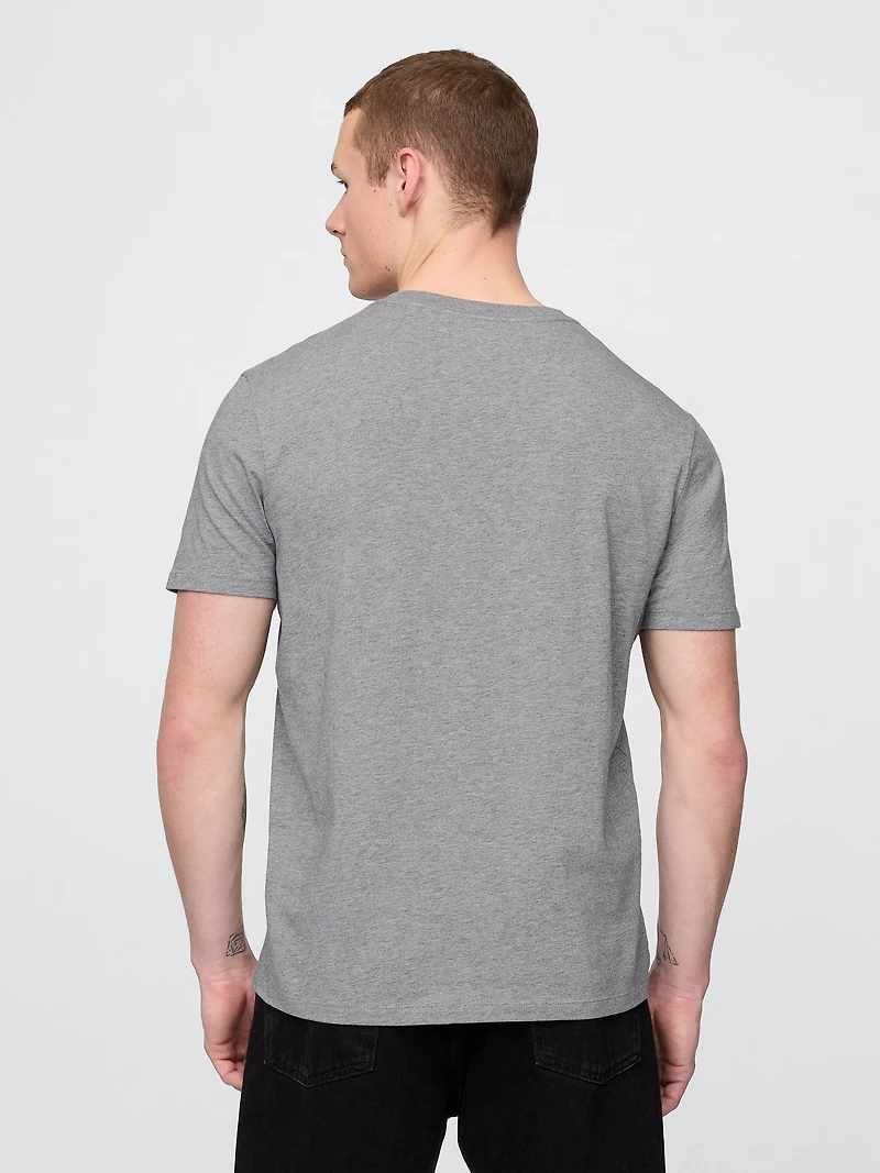 Cotton Jersey V-Neck T-Shirt
