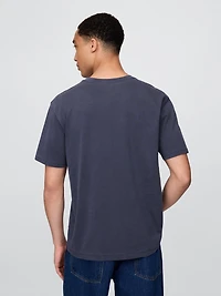 The Beach Boys Graphic T-Shirt