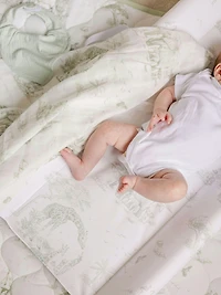 The Gilded Bird Contour Change Pad