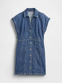 Denim Seamed Mini Dress