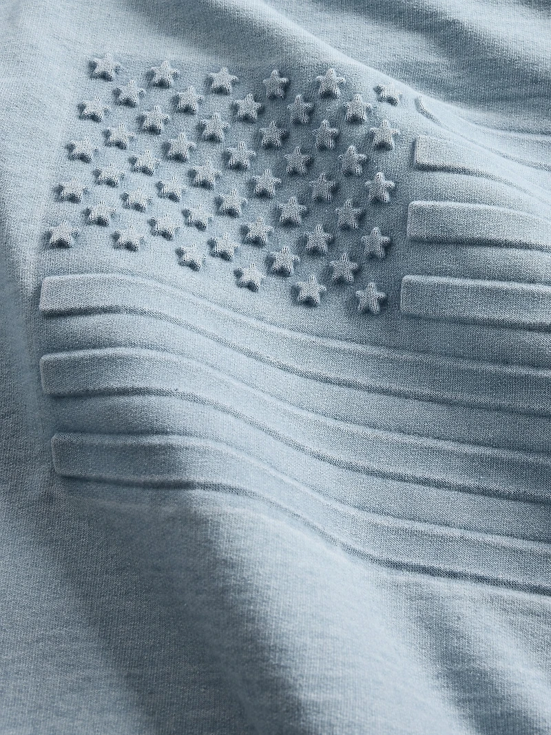 French Terry Americana Cropped Hoodie