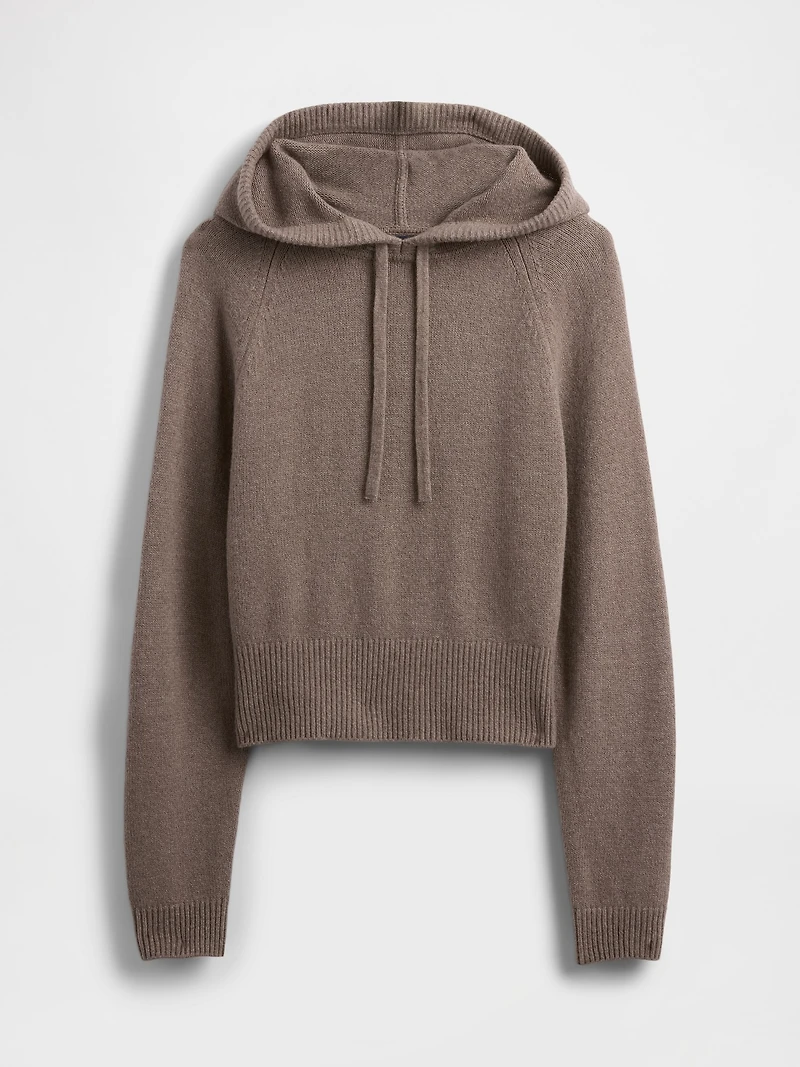 CashSoft Sweater Hoodie