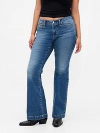 Curvy Low Rise Long & Lean Jeans