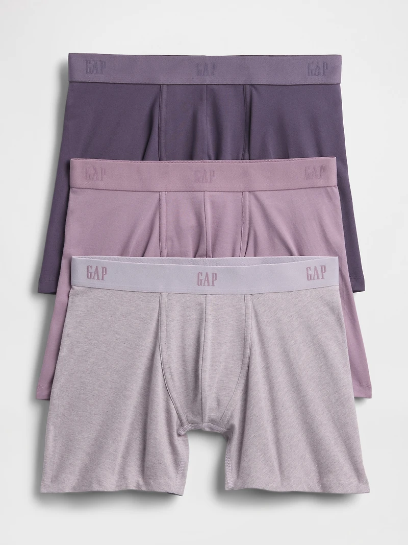 5" Boxer Briefs (3-Pack