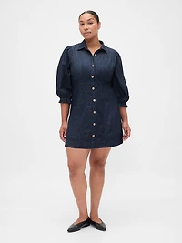 Denim Puff-Sleeve Seamed Mini Dress