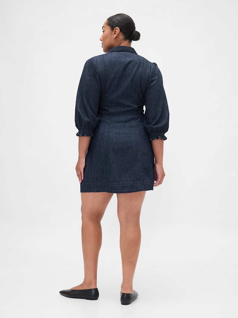 Denim Puff-Sleeve Seamed Mini Dress