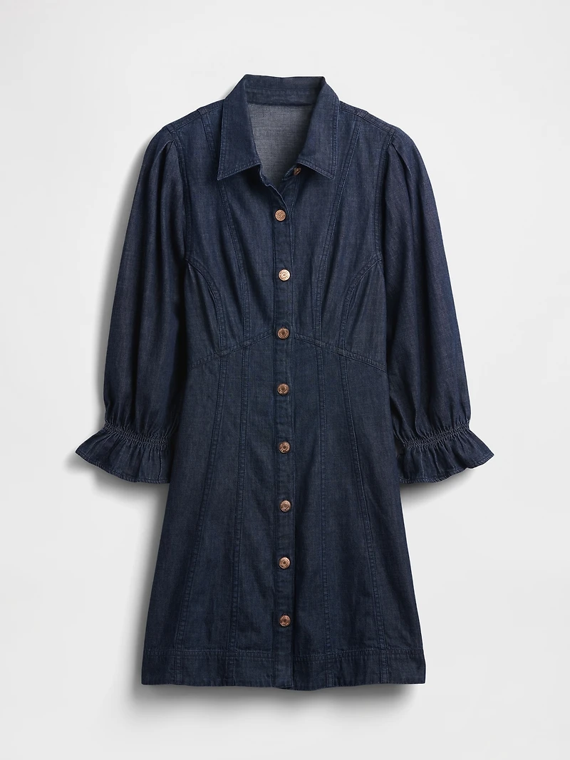 Denim Puff-Sleeve Seamed Mini Dress