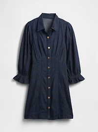 Denim Puff-Sleeve Seamed Mini Dress