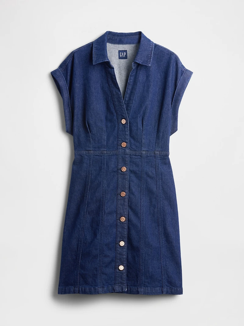 Denim Seamed Mini Dress