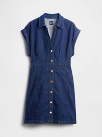 Denim Seamed Mini Dress