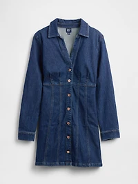 Denim Pleated Mini Dress