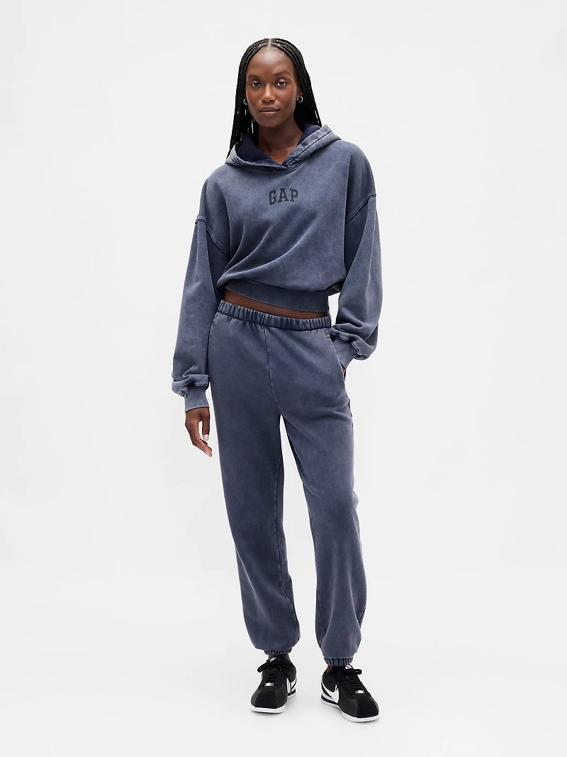 VintageSoft Crop Logo Hoodie