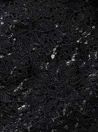 Lace Button-Front Top