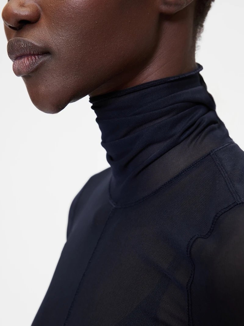 GapStudio Sheer Mesh Turtleneck