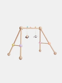 Play Gym