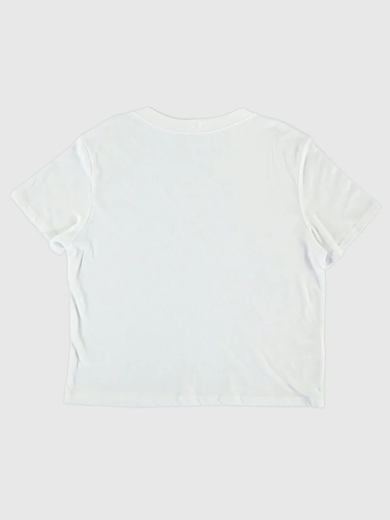 University of Illinois Vintage Fighting Illini Crop T-Shirt