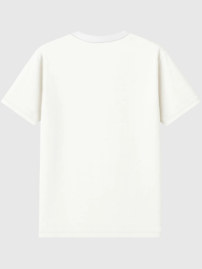 University of Illinois Vintage Fighting Illini Graphic T-Shirt