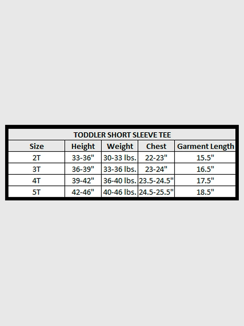 Toddler Marvel Rocket Raccon Doodle Short Sleeve Graphic Tee