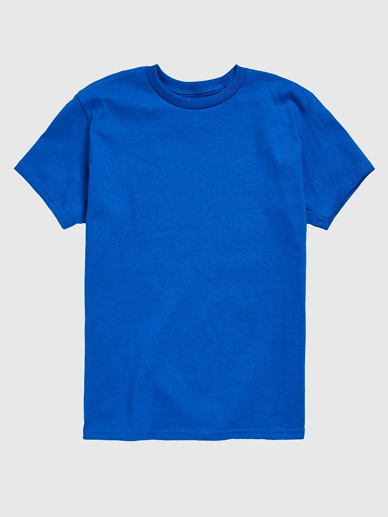 Toddler Peanuts Another Year Cooler Short Sleeve Graphic Tee