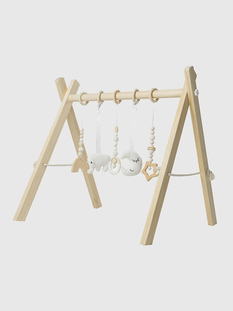 Comfy Cubs Baby Play Gym