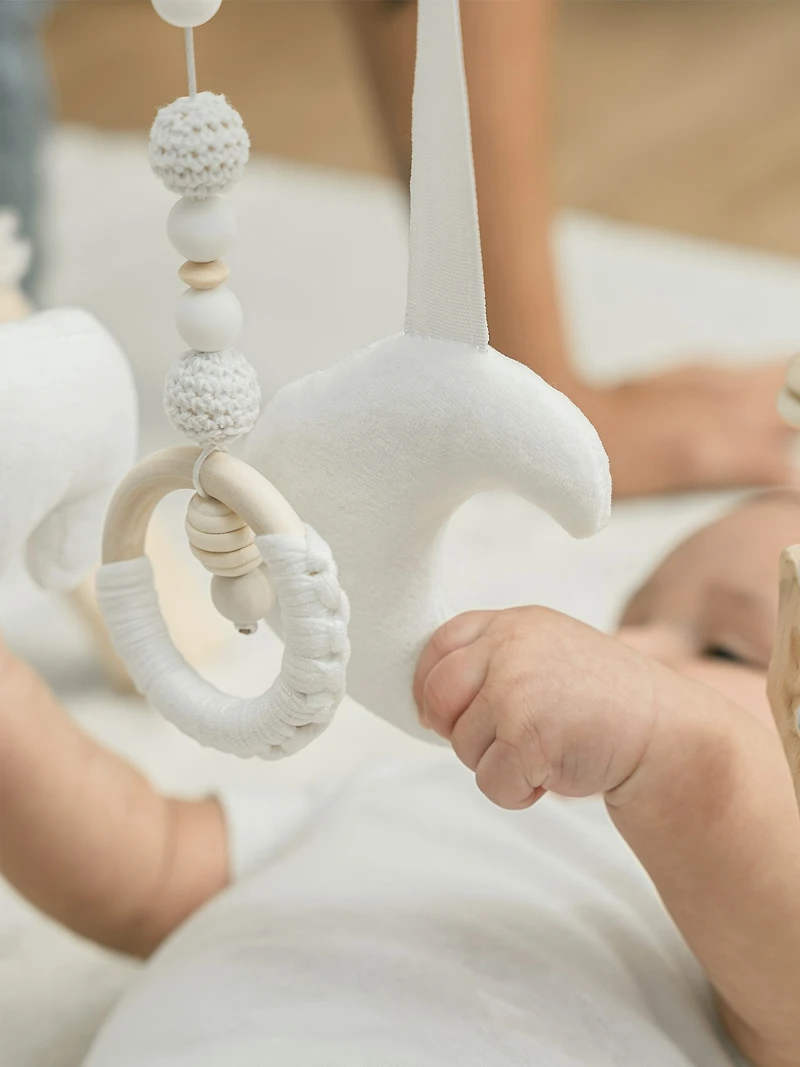 Comfy Cubs Baby Play Gym