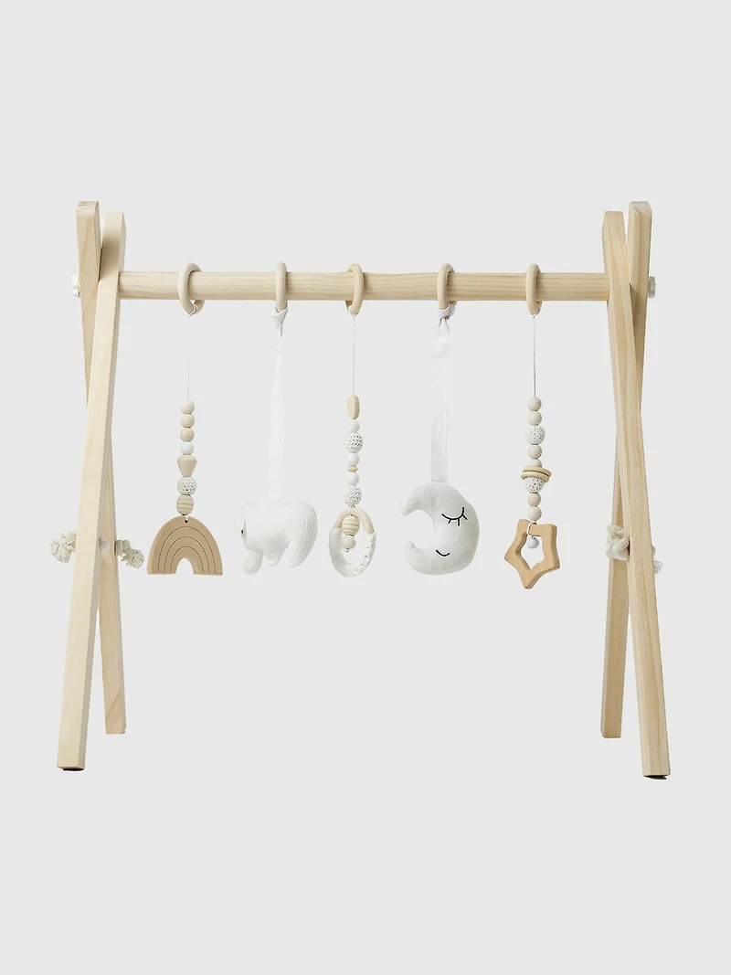 Comfy Cubs Baby Play Gym