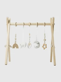 Comfy Cubs Baby Play Gym