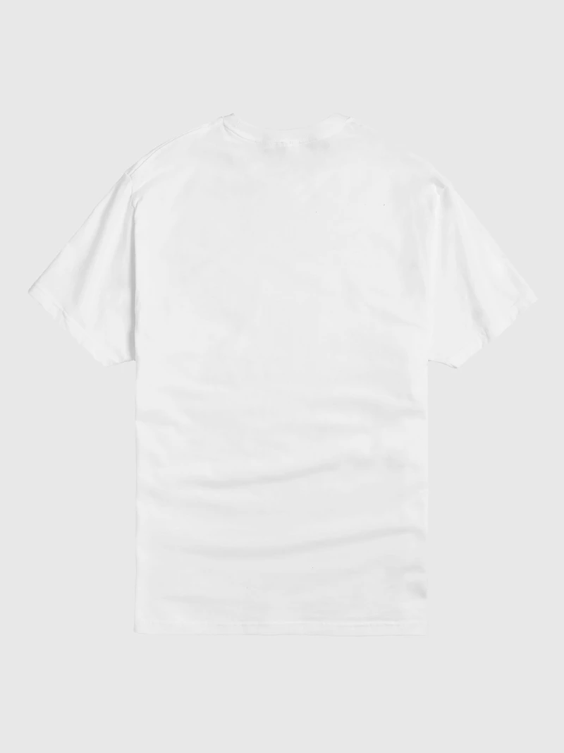 Pickleball 65 Short Sleeve Graphic Tee