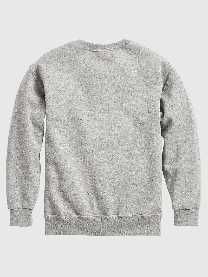 Toddler Dr Seuss The Grinch Collegiate Crewneck Fleece Sweatshirt