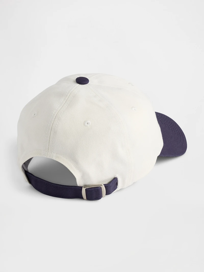 Adult Team USA Baseball Hat