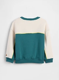 Baby & Toddler VintageSoft Varsity Sweatshirt