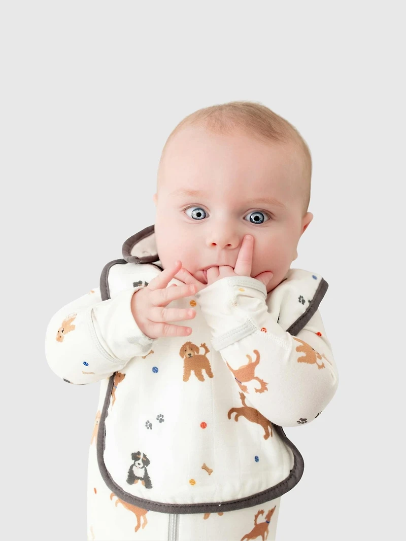 Bamboo Little Dogs Bib Set