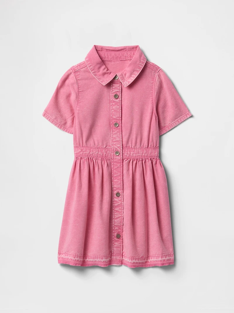 Baby & Toddler Denim Shirtdress
