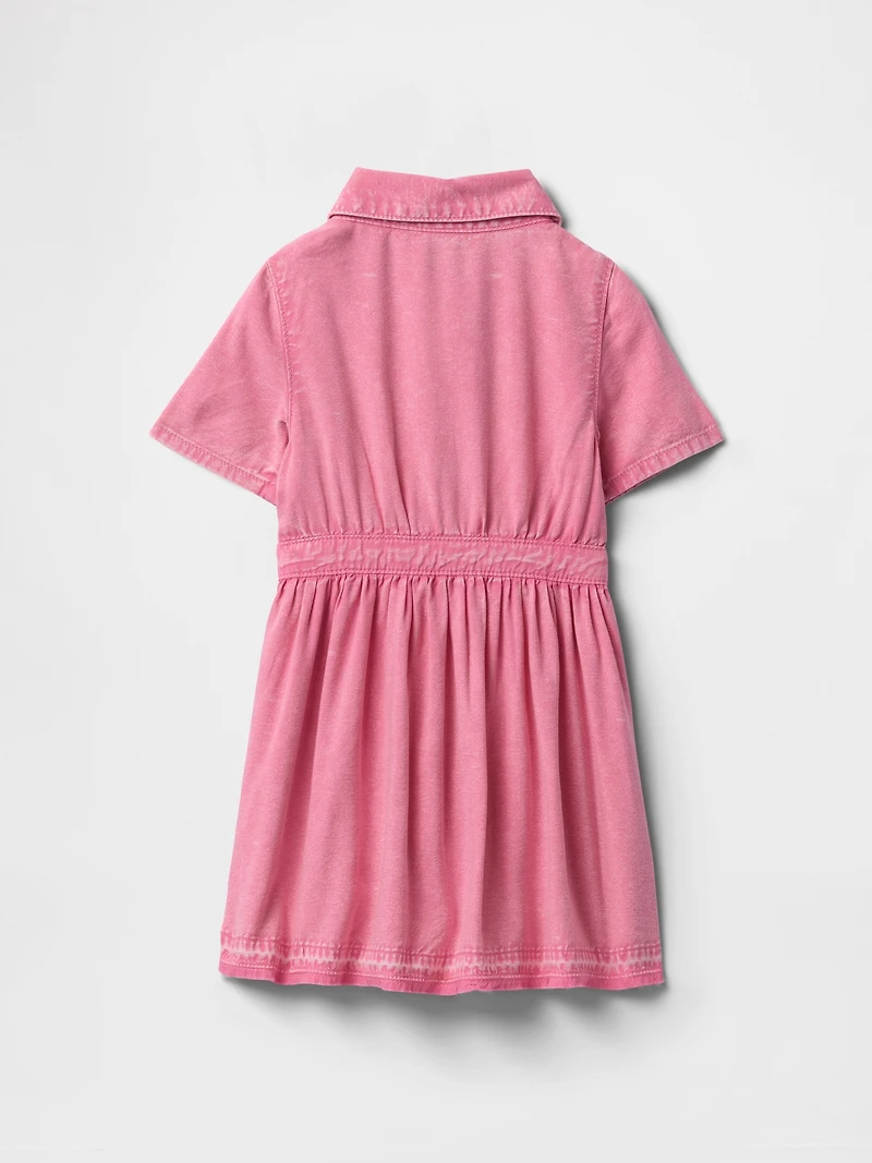 Baby & Toddler Denim Shirtdress