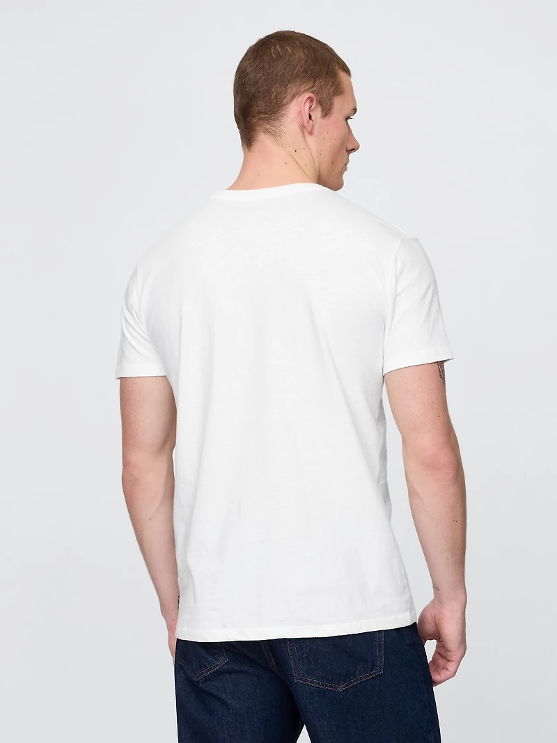 Cotton Jersey V-Neck T-Shirt