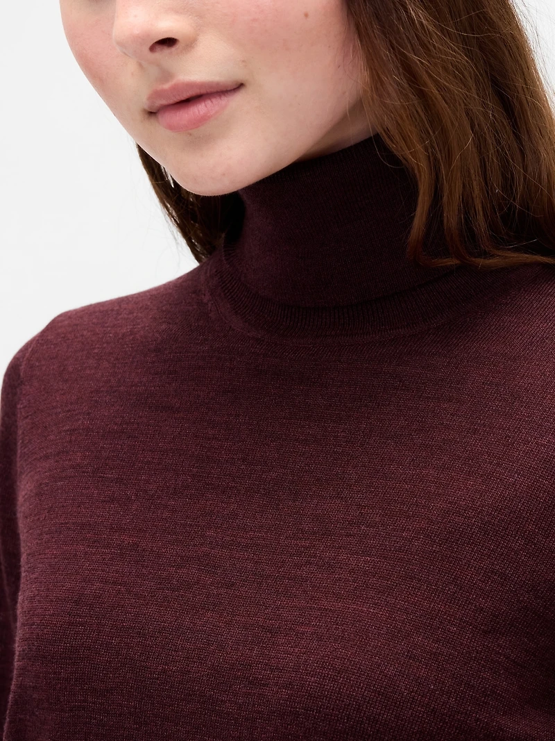 Merino Turtleneck Sweater