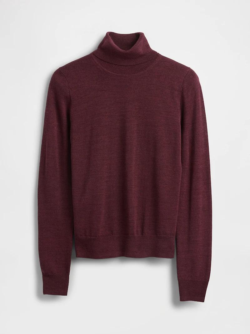 Merino Turtleneck Sweater