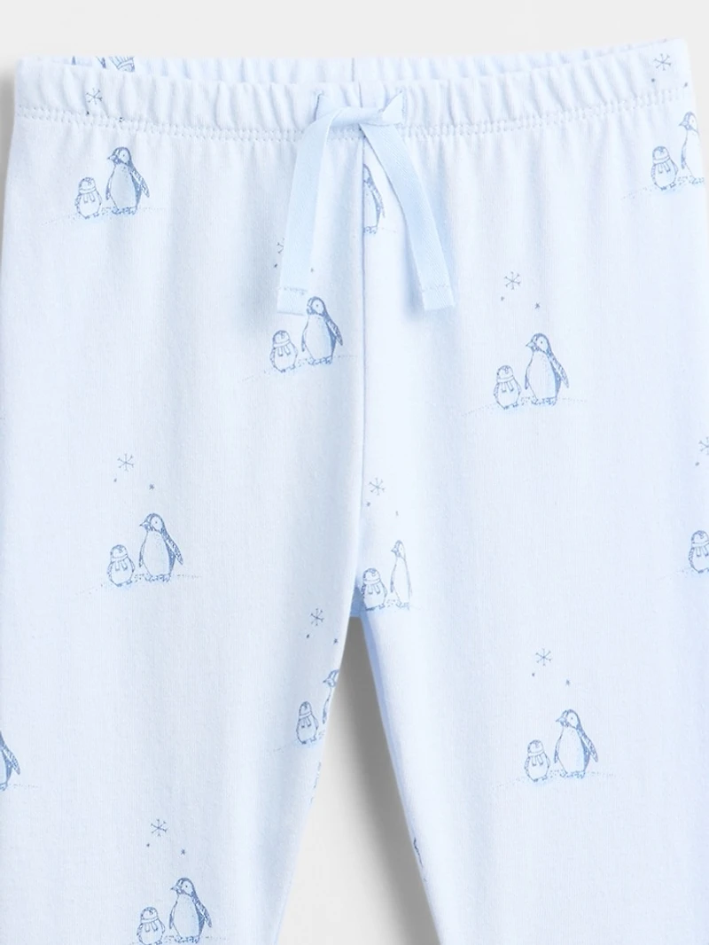 Baby Organic Cotton Bodysuit Outfit Set