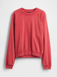French Terry Raglan Sweatshirt