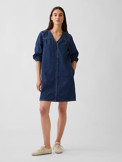Denim V-Neck Shift Mini Dress