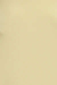 Sleek Scoop Cami Maxi Dress