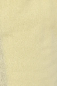 Linen Mini Shorts