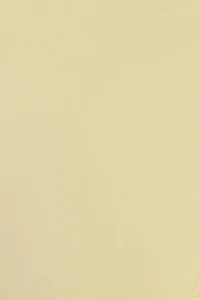 Halter Underwire Bikini Top