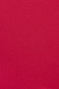 Seamless Lace Trim Cami Top