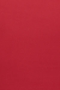 Sleek Sweetheart T Shirt