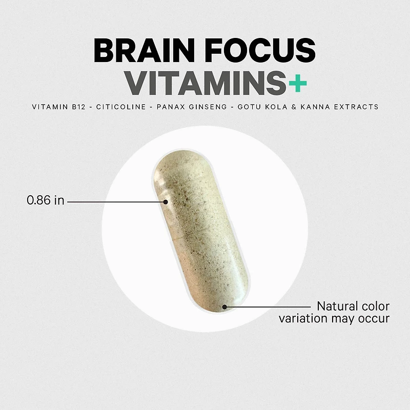 Brain Focus Multivitamin+ - 60 Vegetable Capsules (30 Servings)